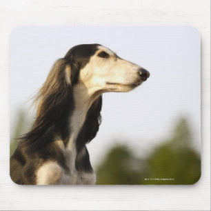 Saluki 2 mousepad