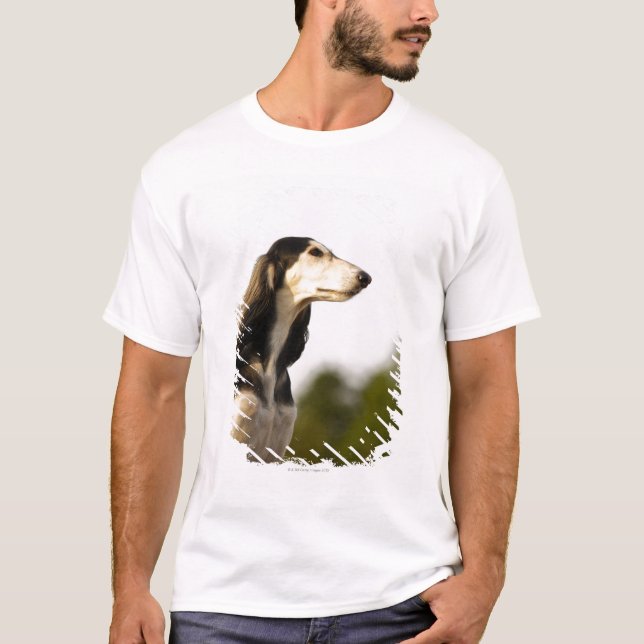 Saluki 2 T-Shirt (Vorderseite)