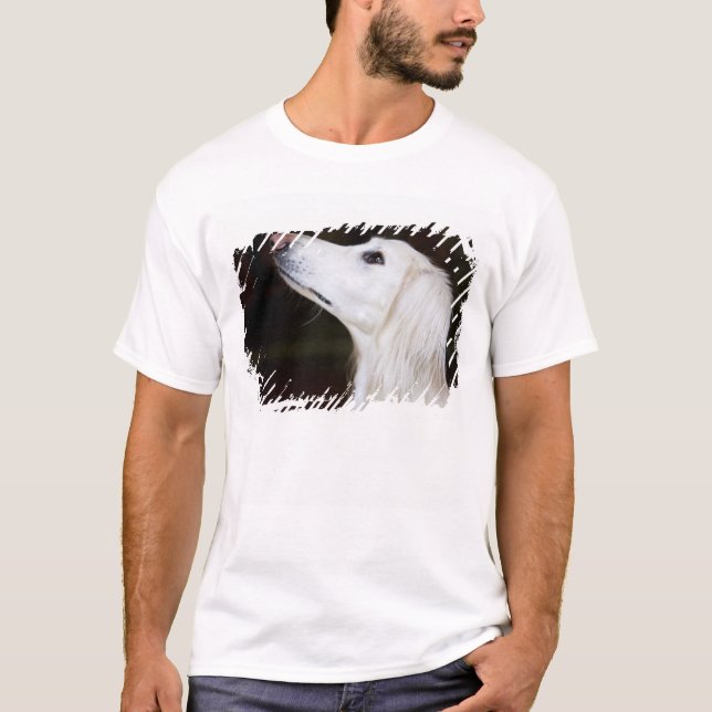 Saluki, das oben schaut T-Shirt (Vorderseite)