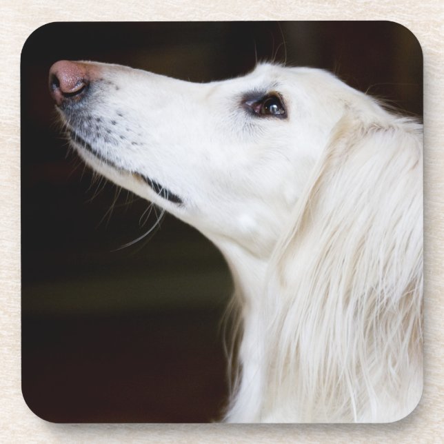 Saluki, das oben schaut untersetzer (Vorderseite)