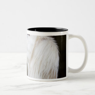 Saluki, das oben schaut zweifarbige tasse