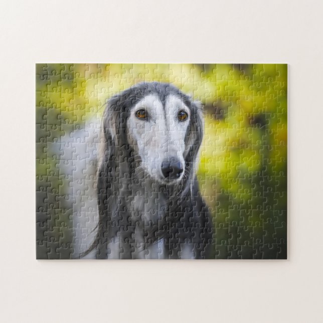 Saluki Dog Jigsaws. (Horizontal)