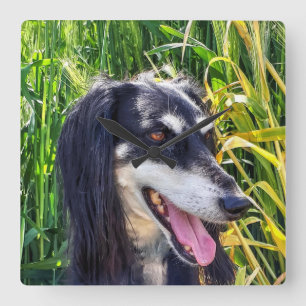 Saluki Dog Quadratische Wanduhr