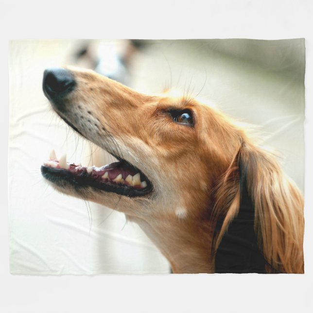 SALUKI FLEECEDECKE (Vorderseite (Horizontal))
