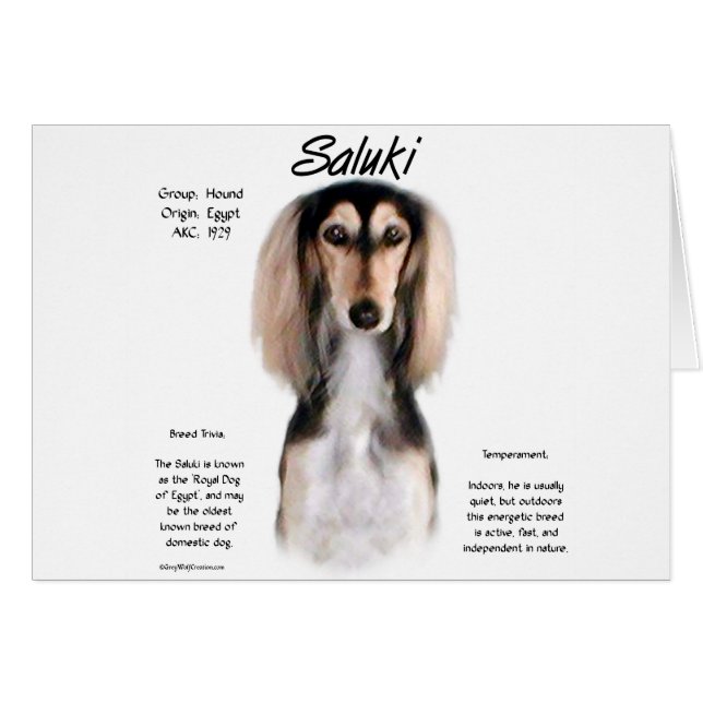 Saluki History Design (Vorderseite (Horizontal))