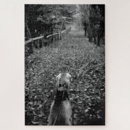 Saluki-Hund im Wald