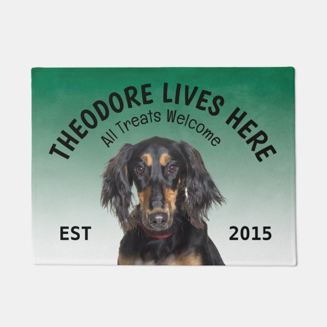 Saluki Personalisiert Dog Lover Doormat Fußmatte (Vorderseite)