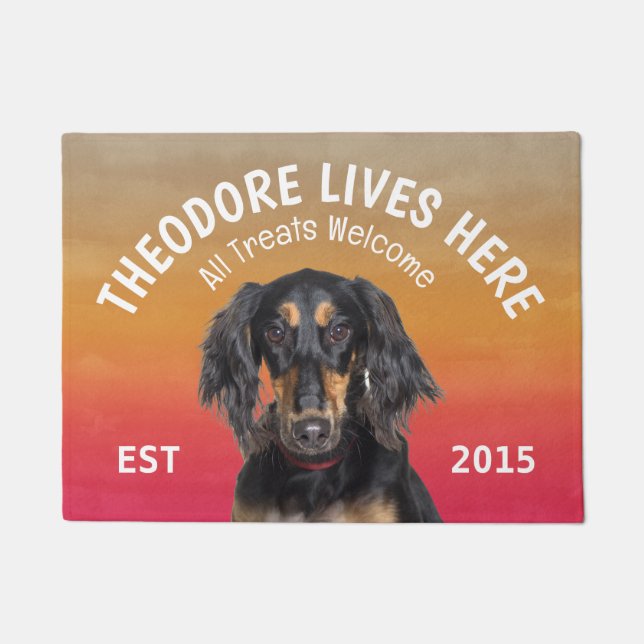 Saluki Personalisiert Dog Lover Doormat Fußmatte (Vorderseite)