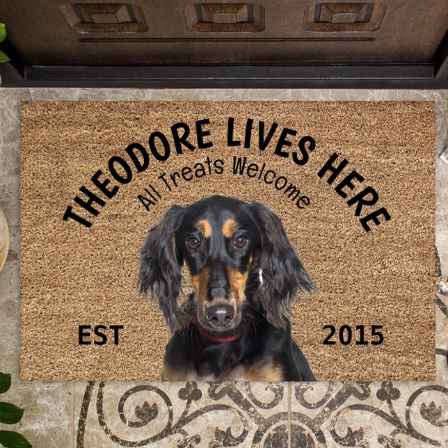 Saluki Personalisiert Dog Lover Doormat Fußmatte (Von Creator hochgeladen)