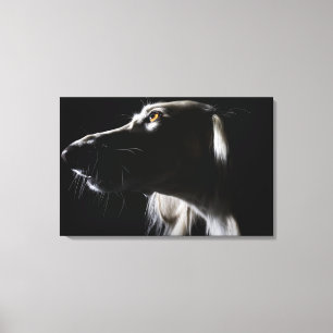 Saluki, Portrait Leinwanddruck