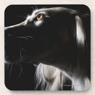 Saluki, Porträt Untersetzer