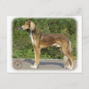 Saluki Postkarte