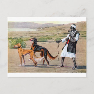 saluki postkarte