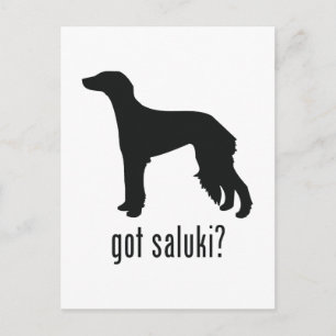 Saluki Postkarte