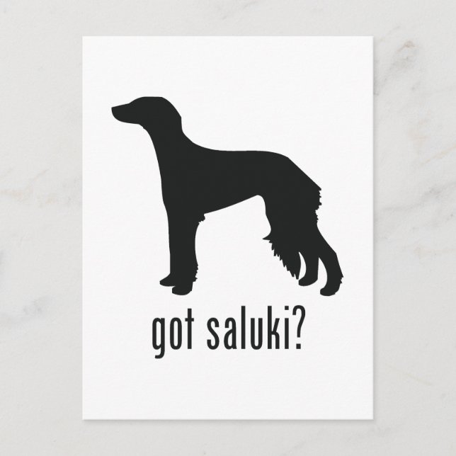 Saluki Postkarte (Vorderseite)