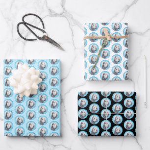 Saluki (Silber) Malerei - Niedliche Original Hunde Geschenkpapier Set