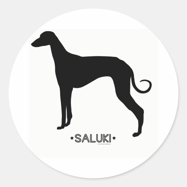 Saluki Sticker (Vorderseite)