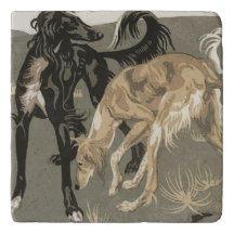 Saluki