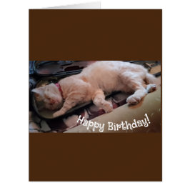 Salutations d'anniversaire Sleepy Musician Ginger 