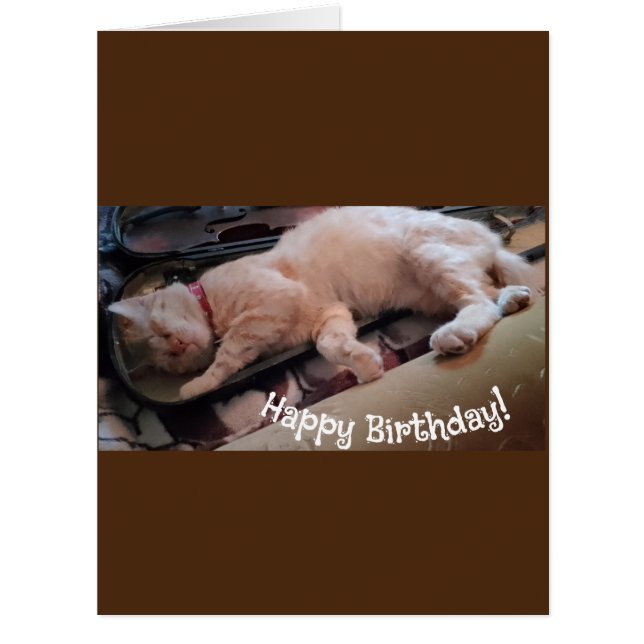Salutations d'anniversaire Sleepy Musician Ginger  (Devant)