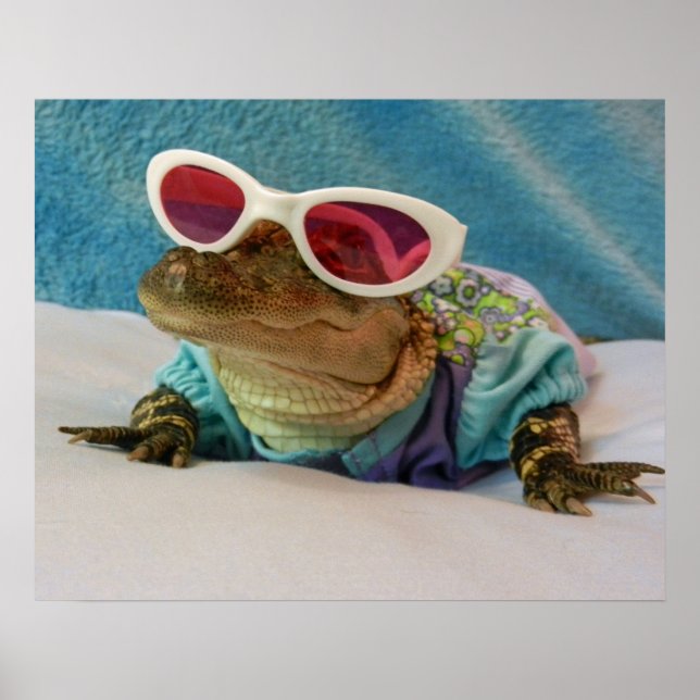 Salutations de Gator - Poster Conserver le Sourire (Devant)