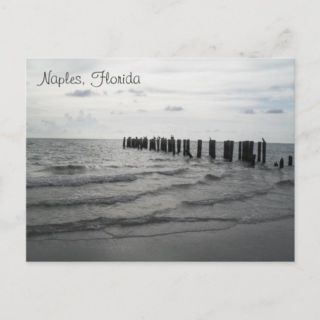 Salutations de la carte postale de Floride (Devant)