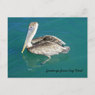 Salutations de la carte postale Key West