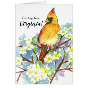 Salutations De Virginia Femme Cardinal Bird