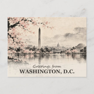Salutations de Washington DC Carte postale au lavi