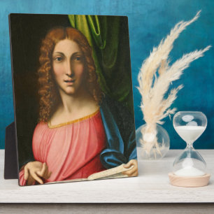 Salvator Mundi, 1515 (Öl auf Tafel) Fotoplatte