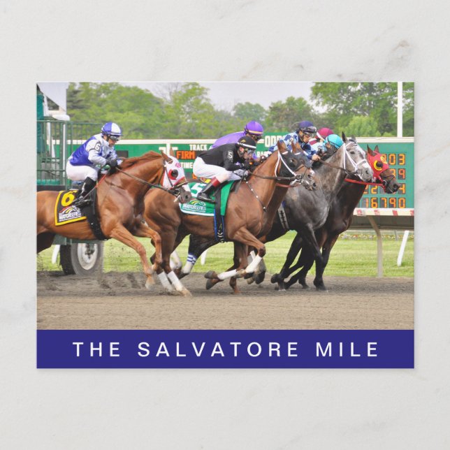 Salvatore Mile Postkarte (Vorderseite)