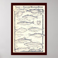 Salz und Süßwasserfisch
