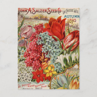 Salzer Blumensamen Postkarte