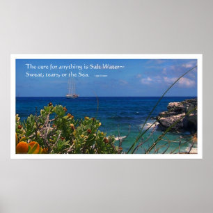 Salzwasser-Heilungs-Insel und Schiffs-Plakat Poster