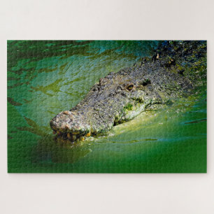 Salzwasser-Krokodil in sumpfigen Gewässern