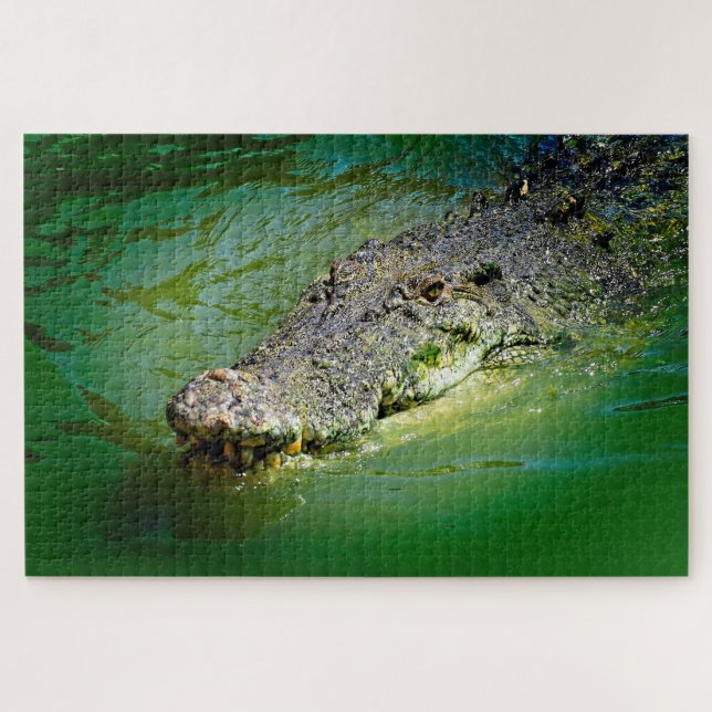 Salzwasser-Krokodil in sumpfigen Gewässern (Horizontal)