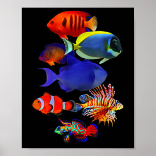 Salzwasser-Riff-Aquarienliebhaber Trigger Fish Man Poster