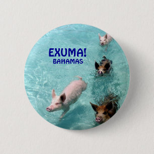 Salzwasser-Schwimmen-Schweinknopf Button