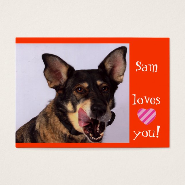 Sam- Angels en laisse (Devant)