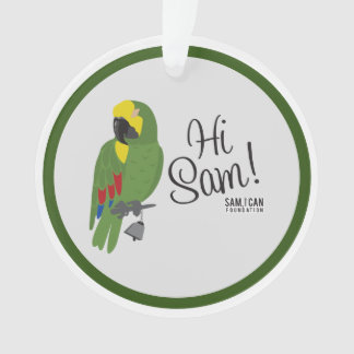 Sam, kann ich Grundlagenverzierung Ornament