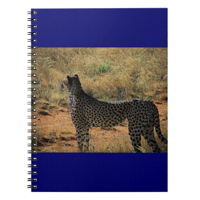 Samburu Cheetah Notizblock (Vorderseite)