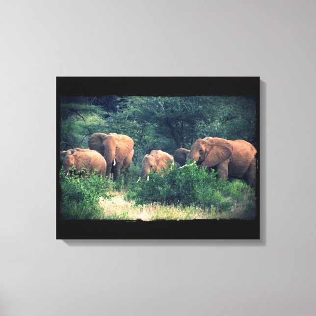 Samburu Elephant Herd Leinwanddruck (Vorderseite)