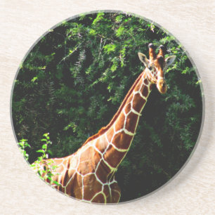 Samburu Giraffe Getränkeuntersetzer