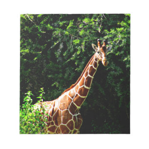 Samburu Giraffe Notizblock