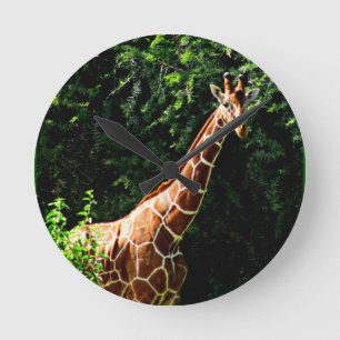 Samburu Giraffe Runde Wanduhr