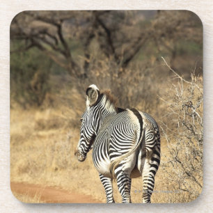 Samburu nationale Reserve, Kenia Getränkeuntersetzer