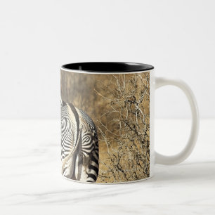Samburu nationale Reserve, Kenia Zweifarbige Tasse