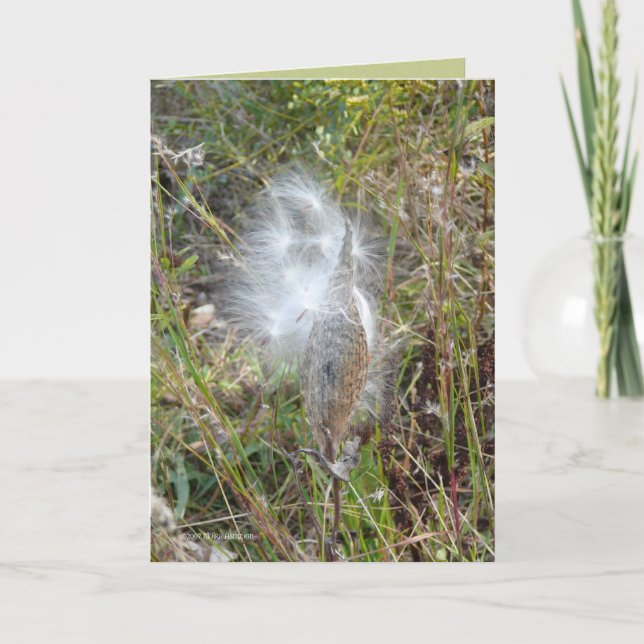 Samen fliegen karte (Vorderseite)