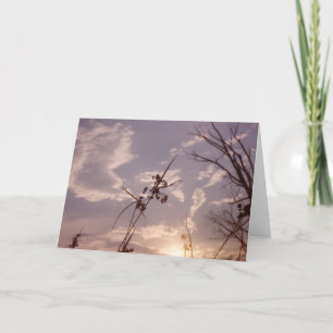 Samen im frühen Abend Karte