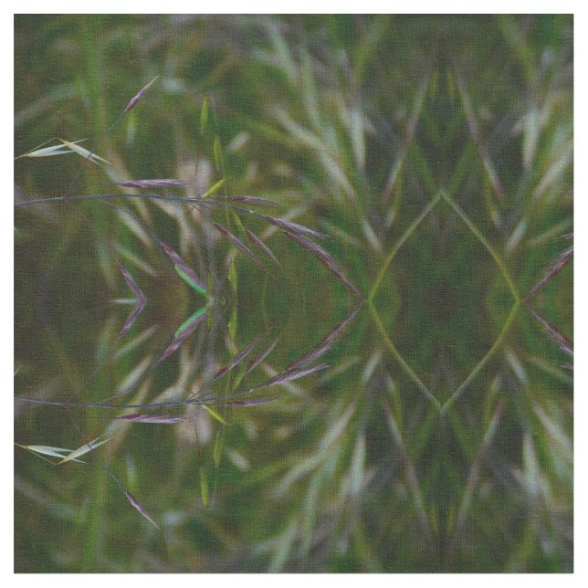 Samen Stoff (Nahaufnahme)